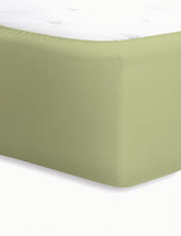 schlafgut Jersey-Elasthan #farbe_lind