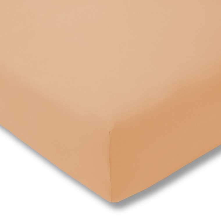 Estella Baumwolle Feinjersey Spannbettlaken - 90x200 - 200x200 cm