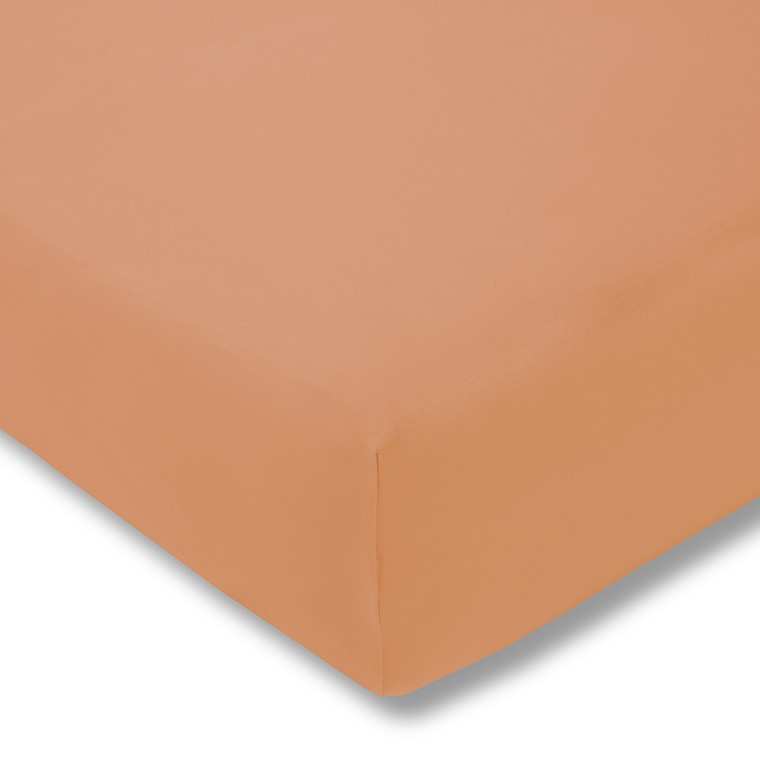 Estella Baumwolle Feinjersey Spannbettlaken - 90x200 - 200x200 cm