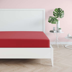 Favorito Jersey Spannbettlaken - von 90x200 bis 200x220 cm