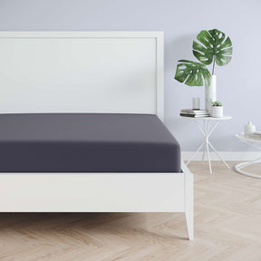 Favorito Jersey Spannbettlaken - von 90x200 bis 200x220 cm