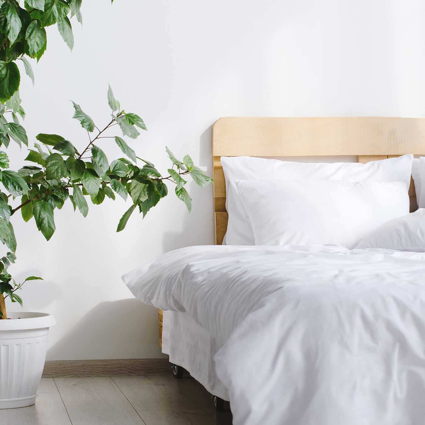 etérea Mako Satin Uni Bettwäsche Einfarbig