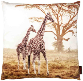 Magma Kissen mit Füllung 50x50 cm Tiere Safari